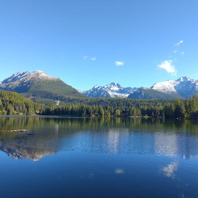 IMG_20260928_085711.jpg